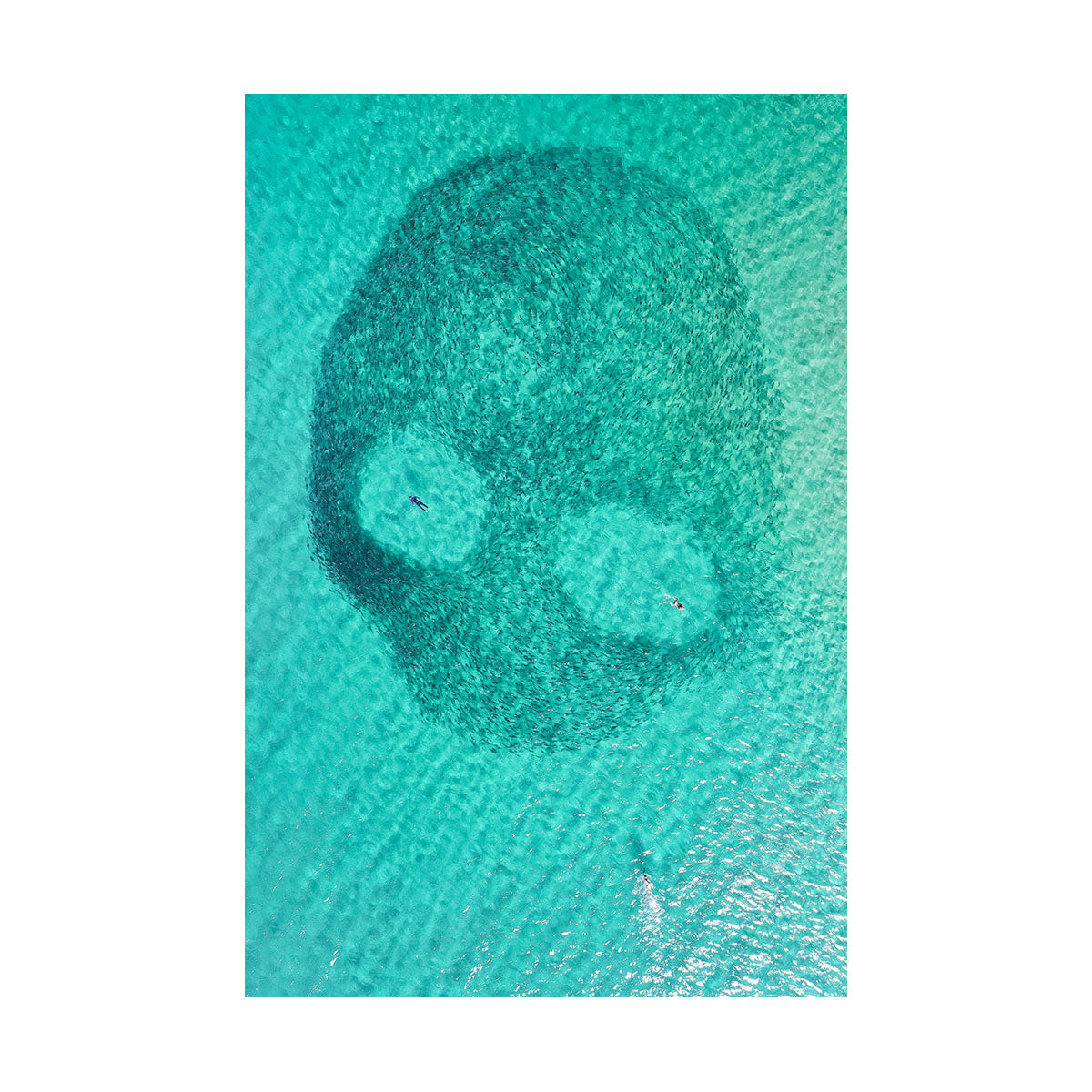 Salty Skull | Gift Print